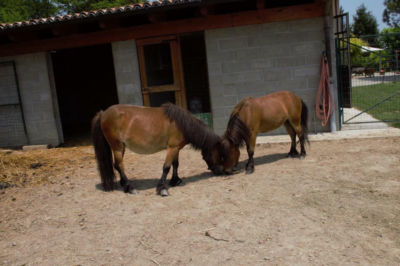 Casa Dei Ciliegi Castell'Alfero Villa Buitenkant foto